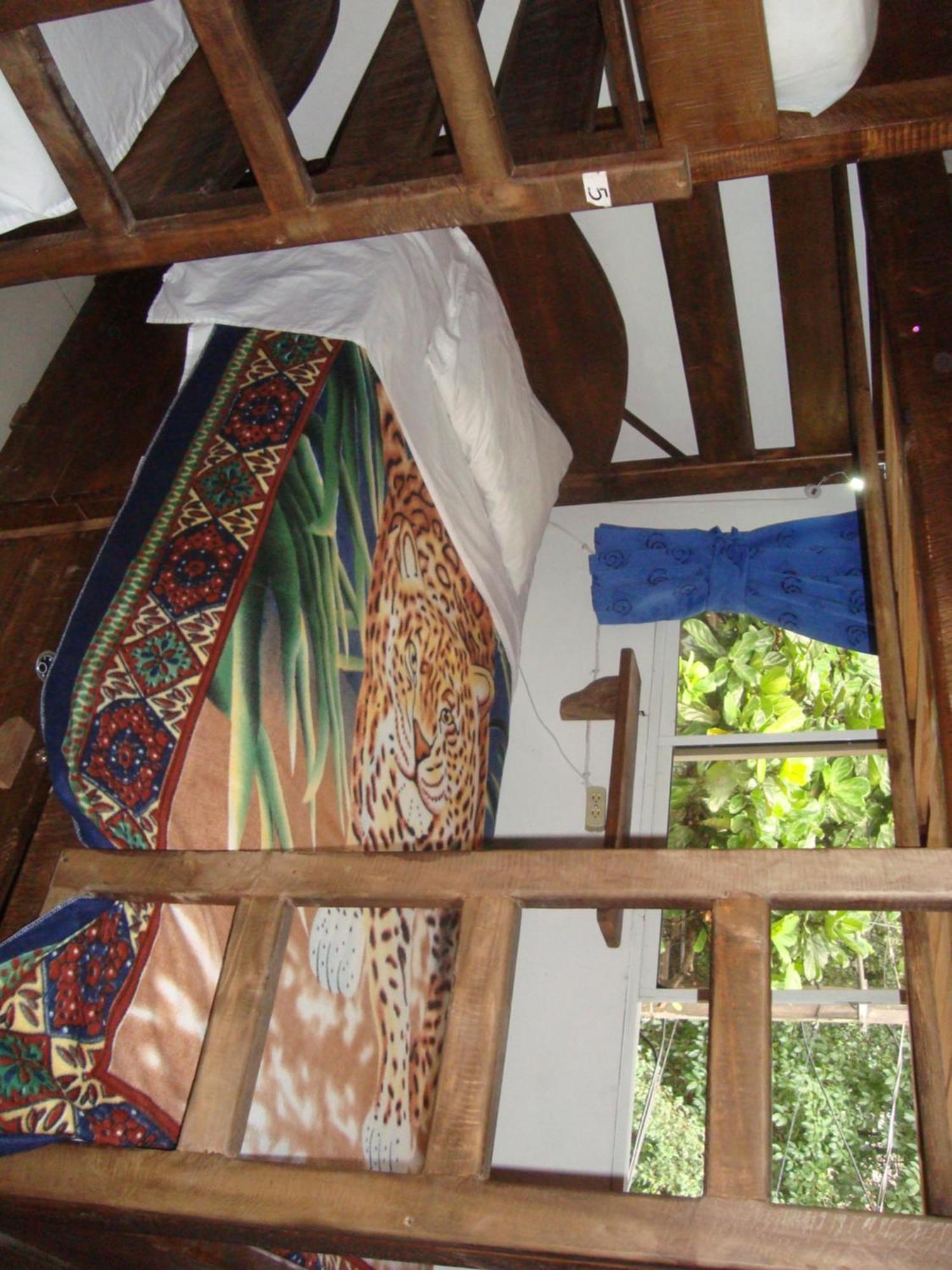 Arcadia Hostel Medellín Zimmer foto